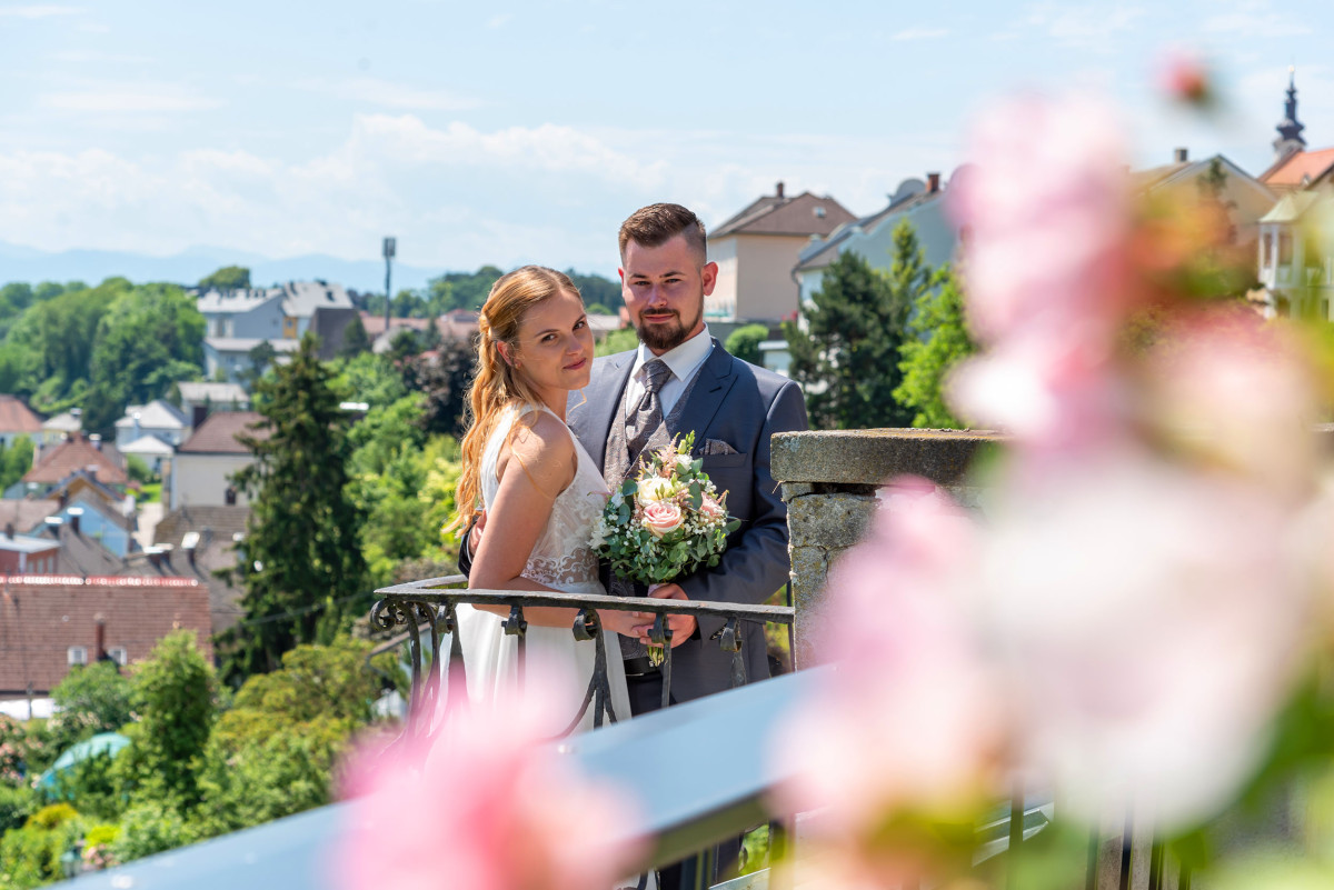 Meine Fotos